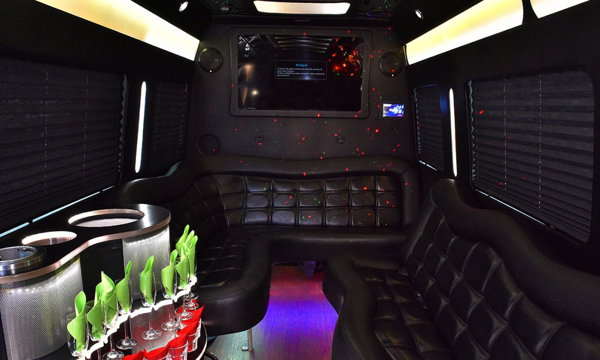 2016 Mercedes Benz Sprinter Limo Interior