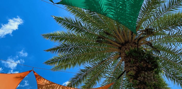Things to do in Kissimmee Florida