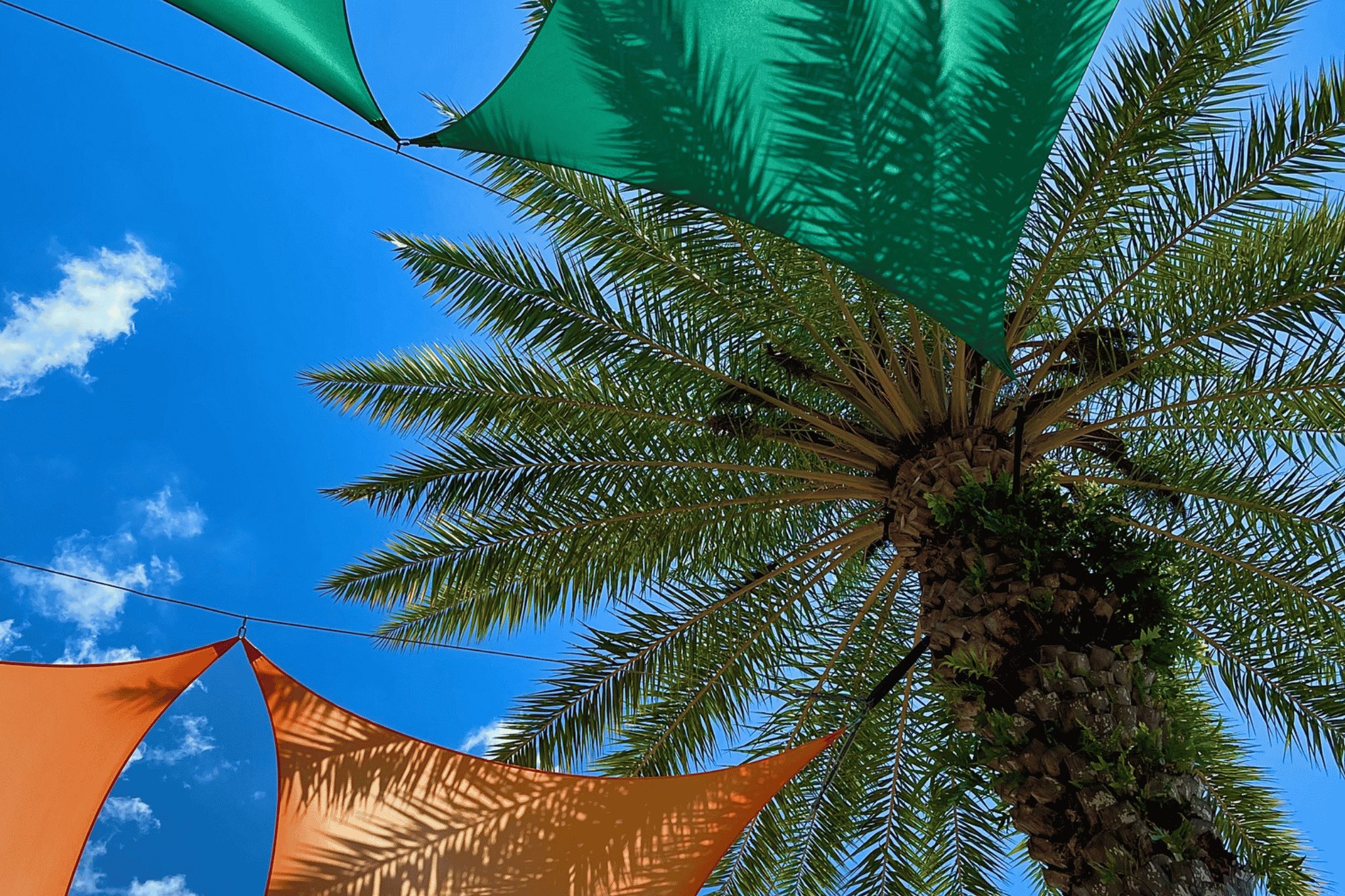 Things to do in Kissimmee Florida
